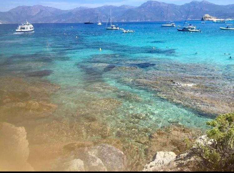Villa Le Corail Rouge Corse Lecci Exterior photo